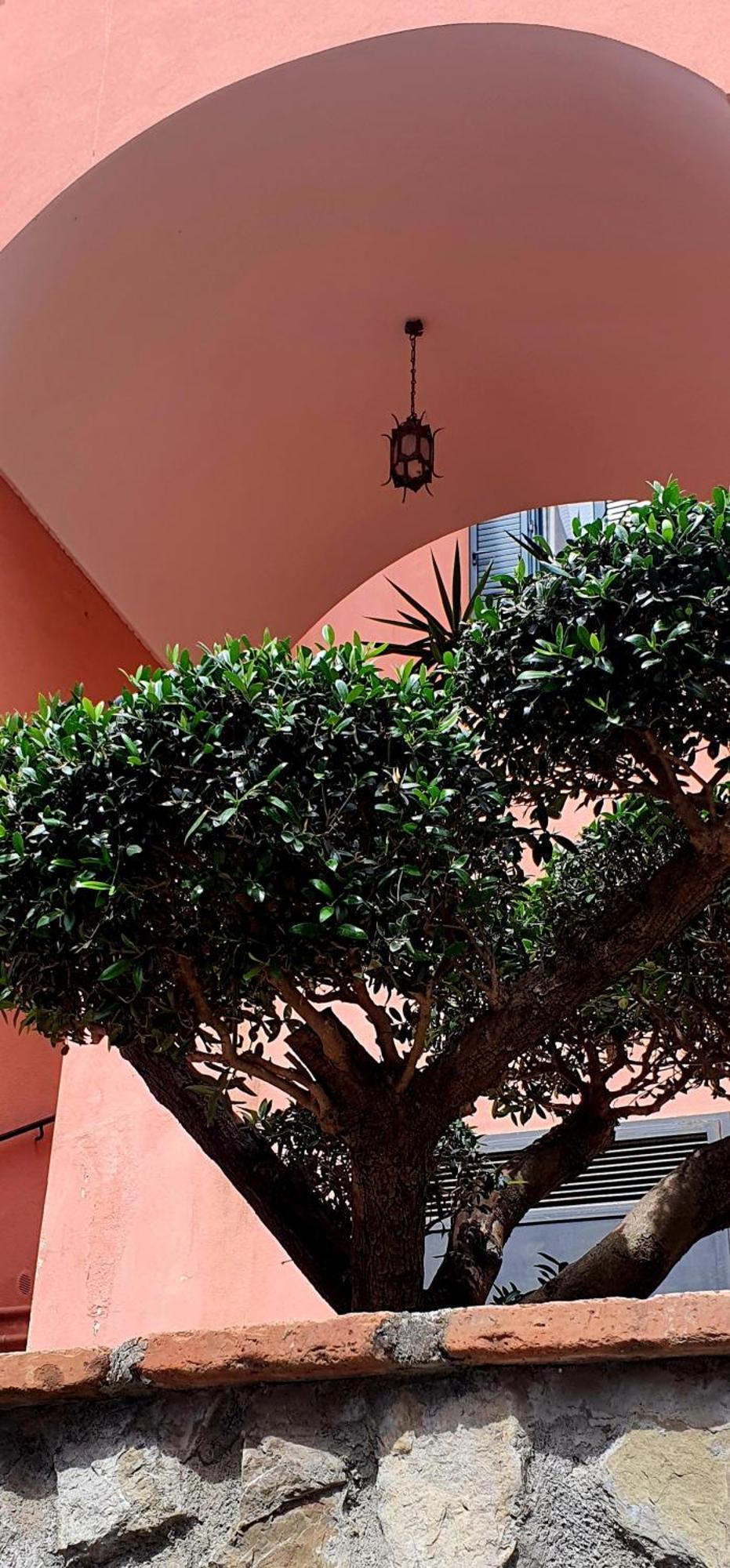 מאיורי La Maison Rose מראה חיצוני תמונה